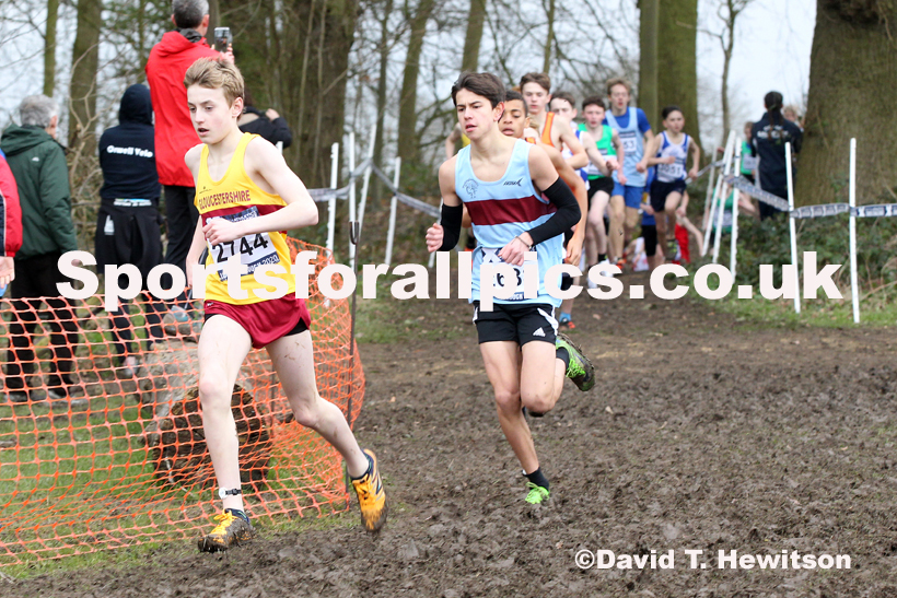 Boys under-13s, 2020 British Athletics Inter Counties Cross Country Champs., Prestwold Hall, Loughborough. Photo: David T. Hewitson/Sports for All Pics